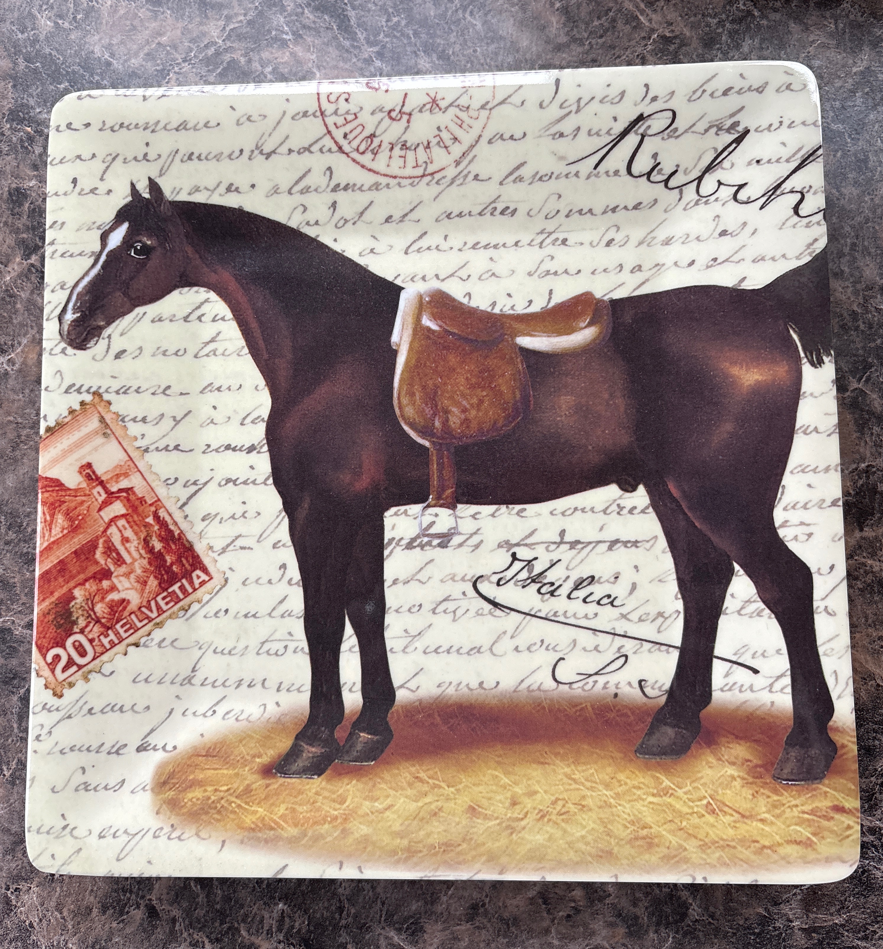 13 Piece Equestrian Horse Plastic Melamine Dinnerware Serving Set