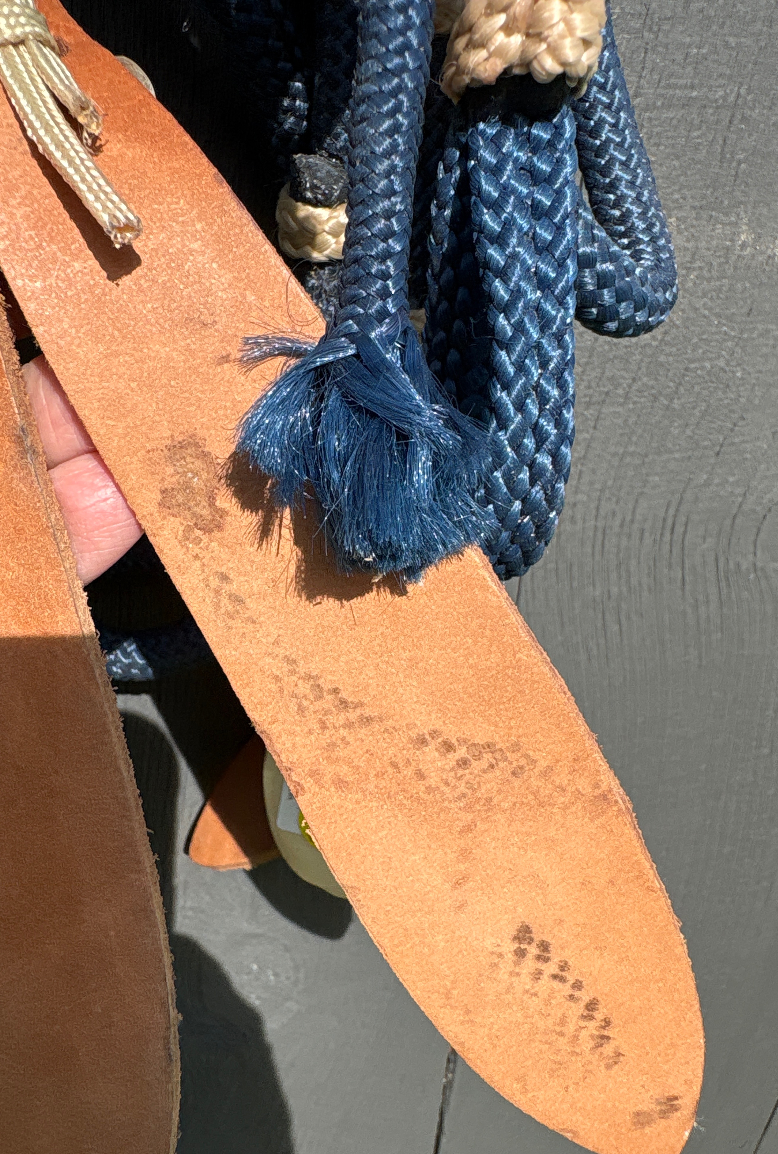 Weaver Leather Braided Nylon Vaquero Style Headstall and Reins Set